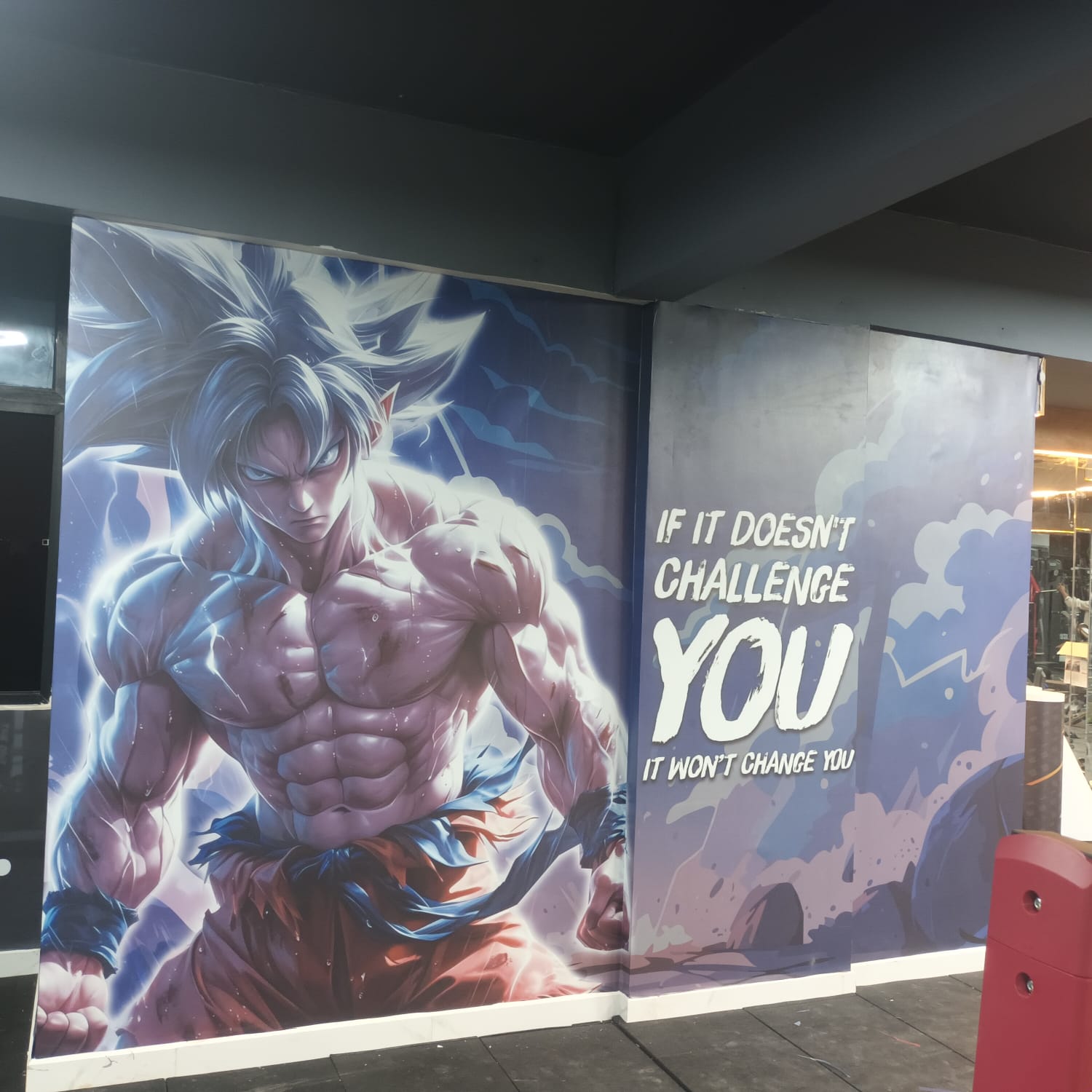 Gym interior wall graphics printing Bangalore